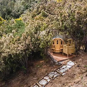 El Pino Centenario 3 Con Sauna , La Orotava España